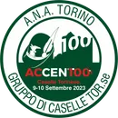 Medaglia del centenario ACCENT00